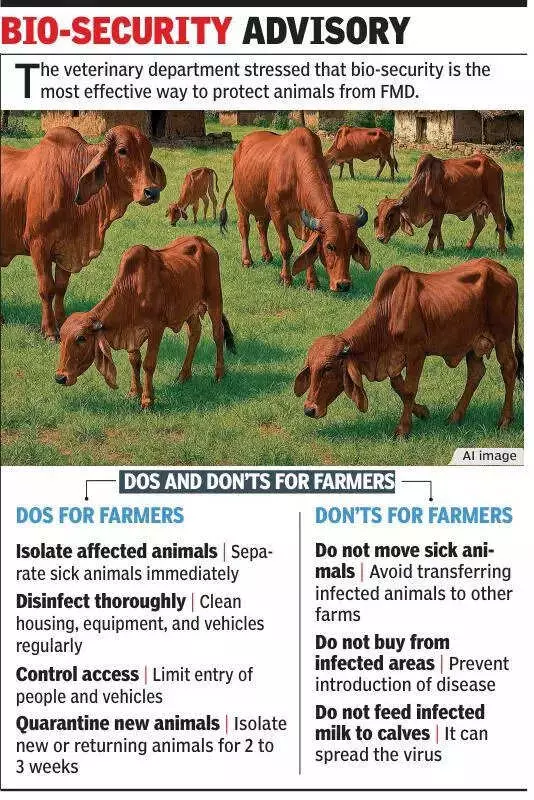 FMD Outbreak in Ludhiana Kills 4 Calves, Exposes Vaccination Gaps