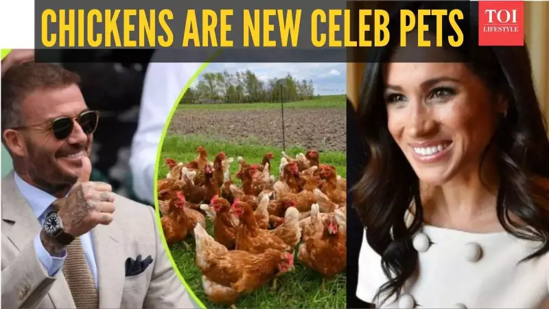 From Hollywood to Homesteads: 5 Celebrities Driving India's Backyard Chicken Trend