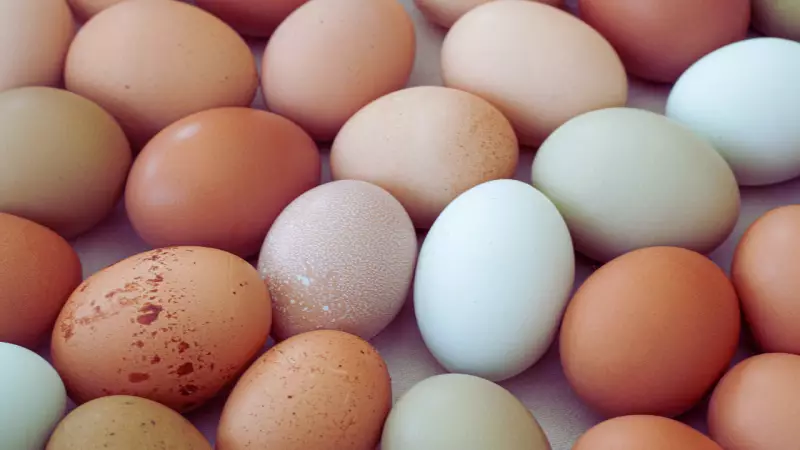 FSSAI Debunks Cancer Scare: Eggs in India Are Safe and Nutritious