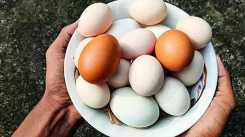 FSSAI Debunks Egg-Cancer Link: Eggs in India Are Safe, Says Regulator