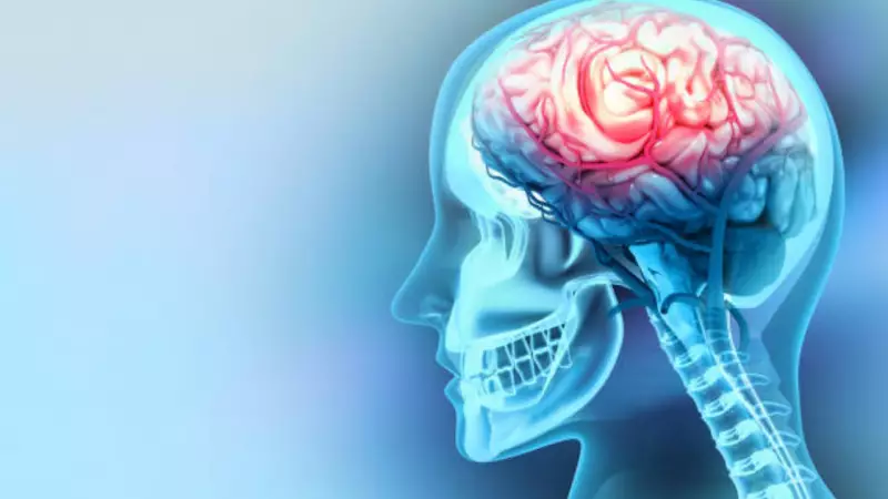 FSSAI Orders Nationwide Crackdown on Adulterated Milk and Paneer