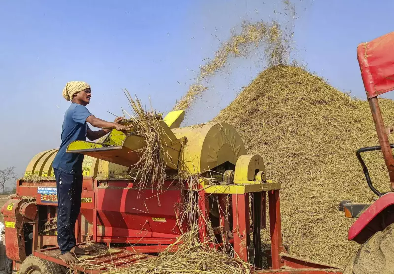 Ganjam Paddy Procurement Begins: 476 Centres, 1000+ Women SHGs Engaged
