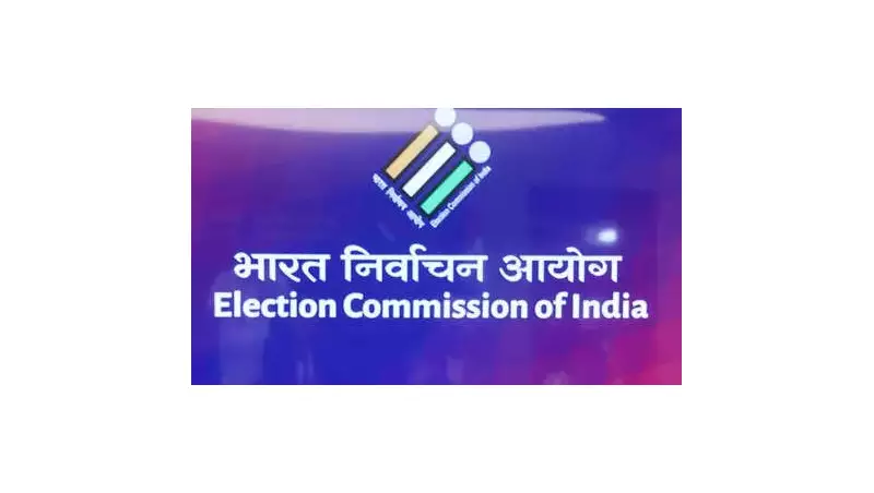 Goa Voter Roll Revision: Over 1 Lakh Names Deleted, Vasco Leads