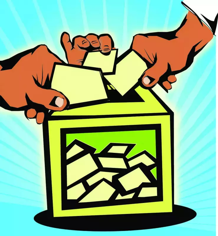 Goa Zilla Panchayat Elections 2024: Divided Opposition Faces BJP in Crucial Semifinal
