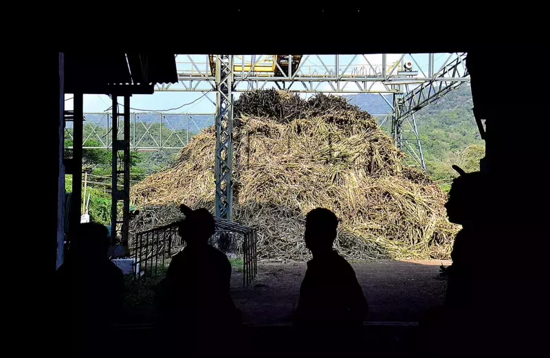 Goa's Rs 700 Cr PPP Push: Strong Bidder Interest for Convention Centre & Sugar Factory