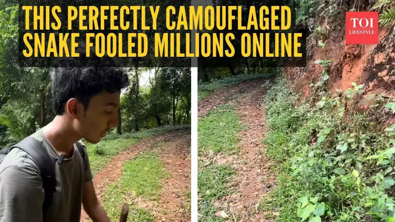 Green Vine Snake Camouflage Video Stuns Internet, Gets Millions of Views