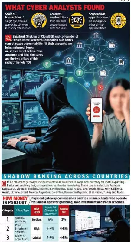 Gujarat Cyber Cops Uncover Rs 719 Crore Mule Account Racket in 26 States