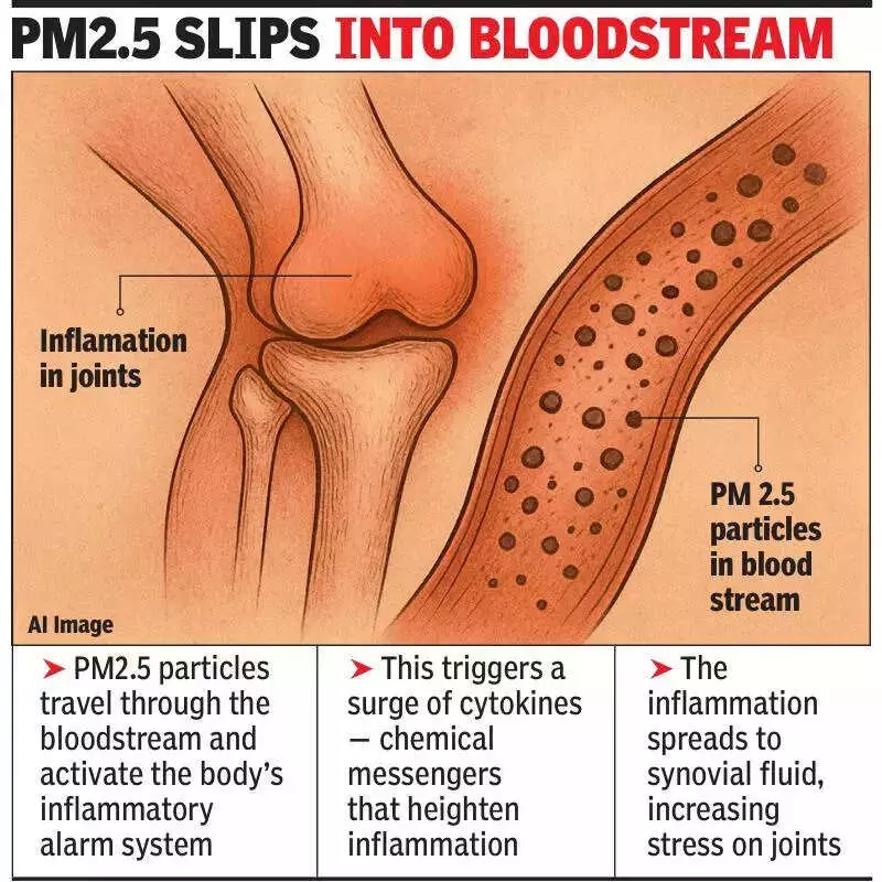 Gurgaon Doctors Link Rising Joint Pain to Toxic Air and PM2.5 Pollution