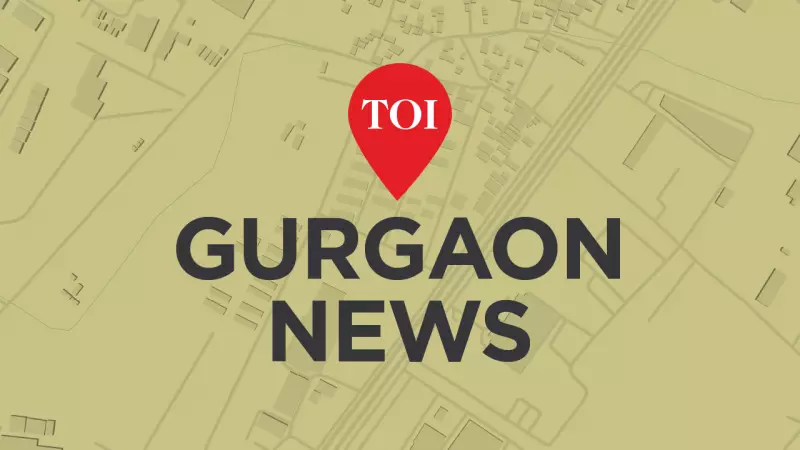 Gurgaon Enforces Work From Home, Staggered Timings to Combat Air Pollution