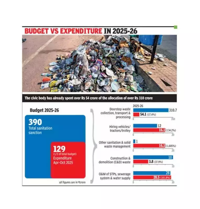 Gurgaon's Rs 129 Cr Sanitation Spend Fails to Clear Garbage Piles