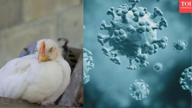 H5N1 Bird Flu Spreads: 71 US Cases, 48% Global Fatality Rate, But Pandemic Risk Low