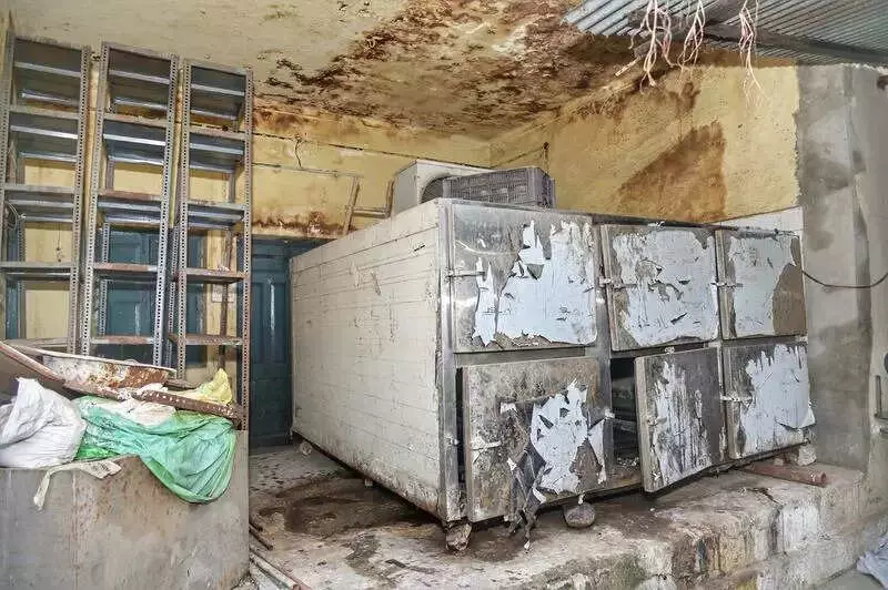 Haridwar Hospital Outrage: Man's Body Found with Rat Bites in Mortuary