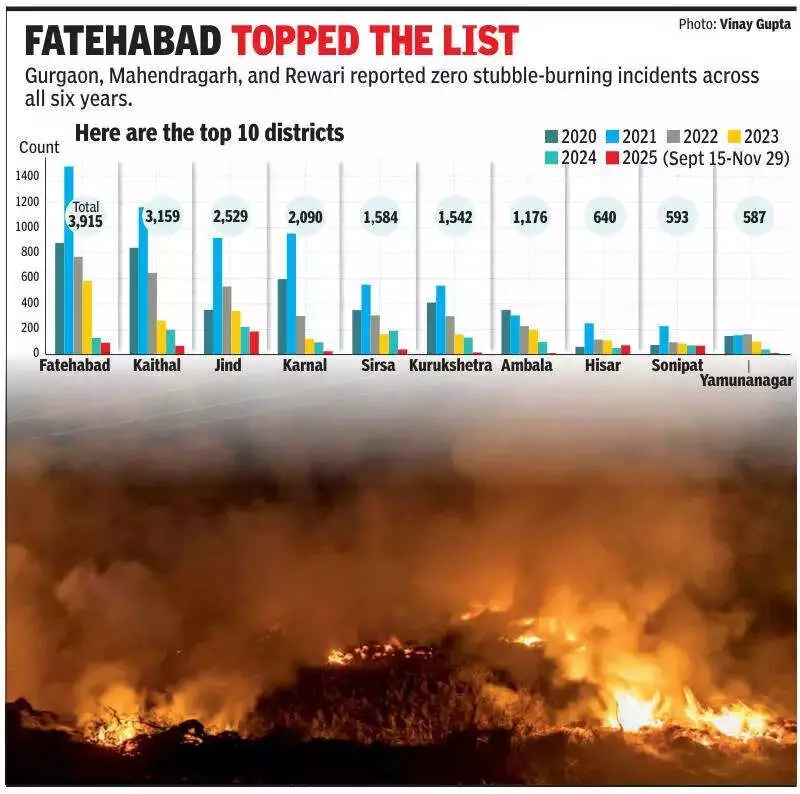 Haryana Cuts Stubble Burning 85%, Records Lowest Farm Fires in 6 Years