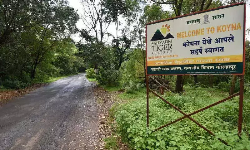 HC Directs NHAI to Appoint Project Director for Kolhapur-Ratnagiri Highway in Tiger Reserve