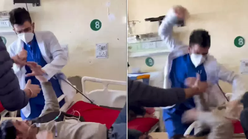 Himachal Doctors' Mass Leave on Dec 26 Over Suspended Resident Doctor