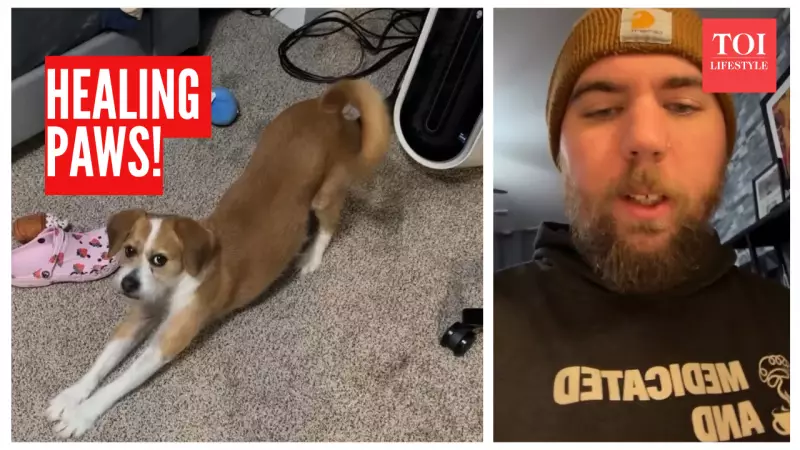 How a Service Dog Helps a Man Manage Schizophrenia Hallucinations