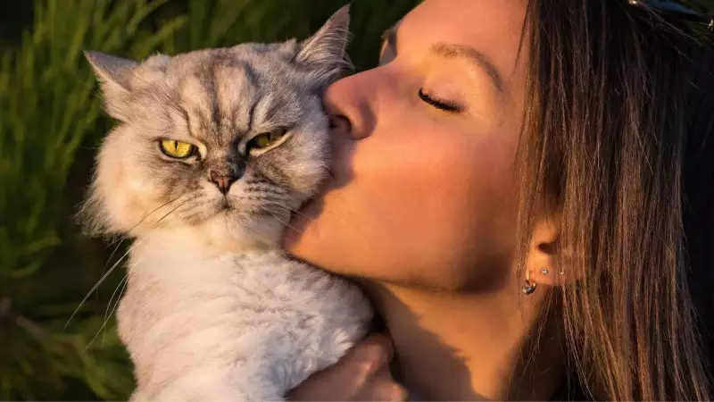How Long Do Cats Remember You? Science Reveals the Truth