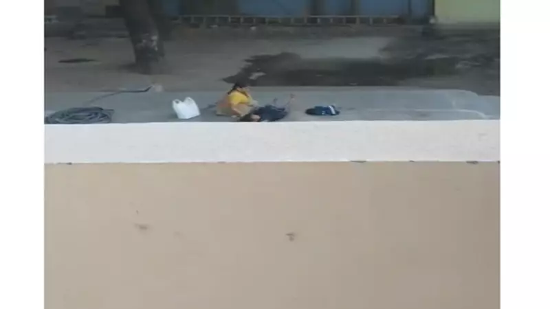 Hyderabad Nursery Girl Assault: Attendant Arrested After Video Sparks Outrage