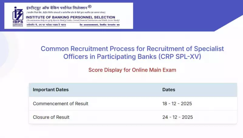 IBPS SO Mains Scorecard 2025 Released: Download Link, Steps, and Interview Details