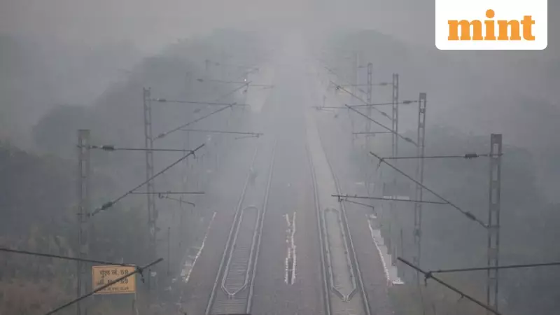 IMD Alert: Cold Wave Grips Maharashtra & Punjab, Heavy Rains Lash Tamil Nadu