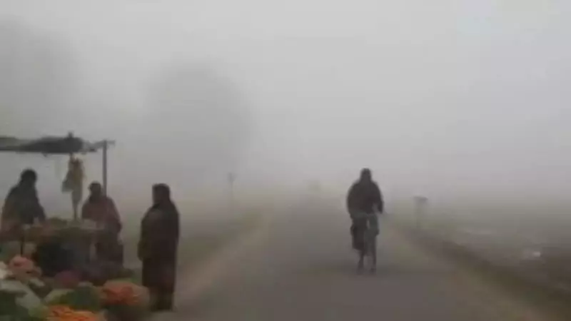 IMD Extends Fog & Cold Day Alert in Bihar Till Jan 3; Gaya Visibility Drops to 50m