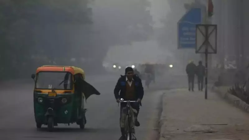 IMD Forecast: Colder Winter, 8-11 Cold Wave Days for Central & NW India
