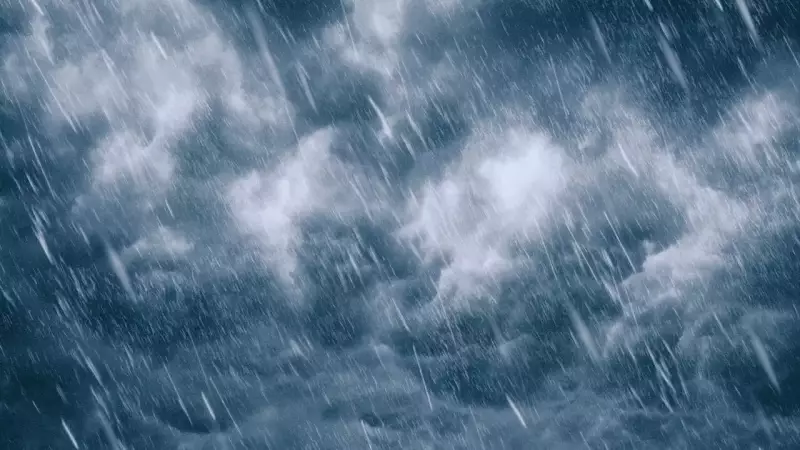 IMD Forecast: Fog, Cold Wave to Grip North India on New Year, Light Rain Likely