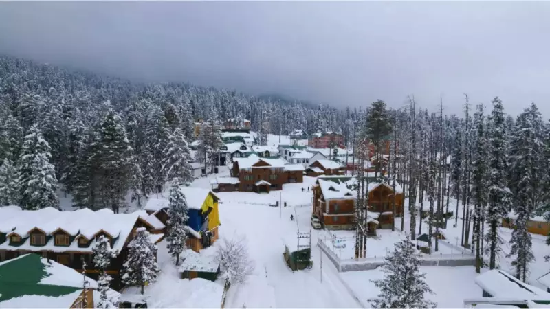 IMD Forecast: Heavy Snow, Dense Fog, Cold Wave to Grip India for New Year