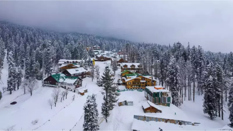 IMD Forecast: Intense Cold Wave, Snowfall & Dense Fog to Grip India Until Dec 26