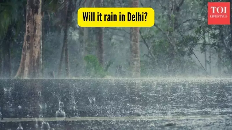 IMD Forecast: Major Indian Cities to See Cool, Dry Days with Dense Fog