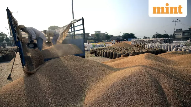 India to Deploy AI Grain Analyzers in 2025 to Boost Exports & Food Security