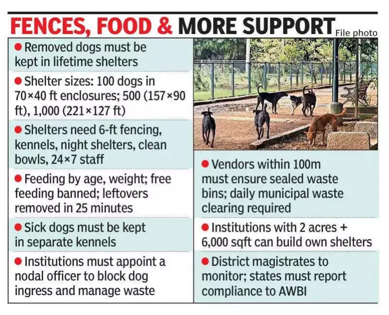 India's New SOPs: Lifetime Shelter Mandatory for Stray Dogs Removed from Public Areas
