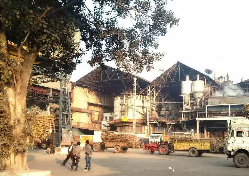 India's Sugar Industry Surges in 2025: Maharashtra Leads, UP Defies Crop Setbacks