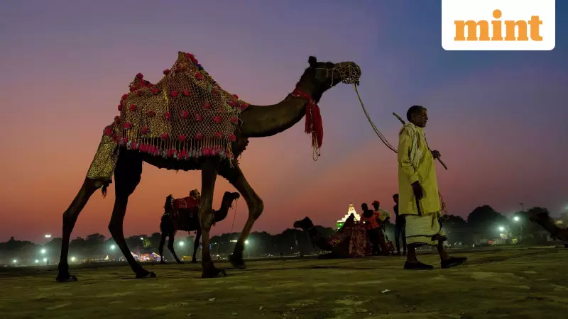 India's Tourism Stalls at 8.8M Foreign Arrivals, Trails SE Asia Boom