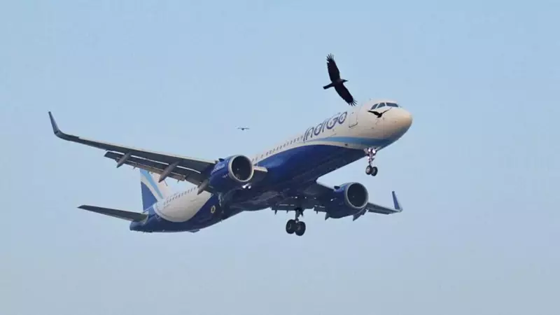 IndiGo Boosts Pilot Allowances: New Rates Effective January 2026