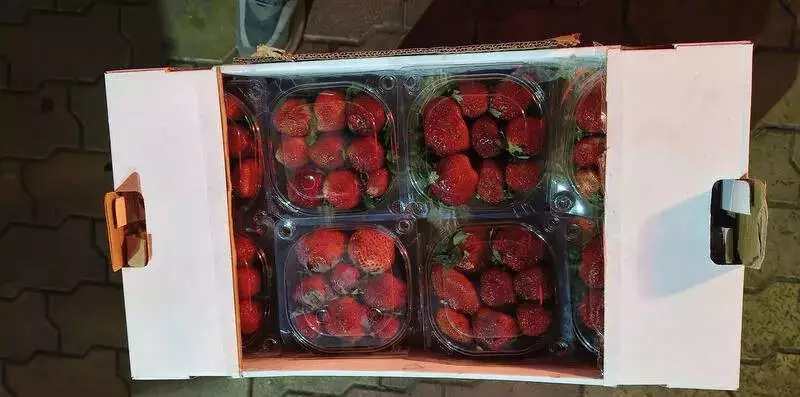 IndiGo Crisis Hits Pune Farmers: Rs 5 Lakh Daily Losses, Cargo Drops 55%