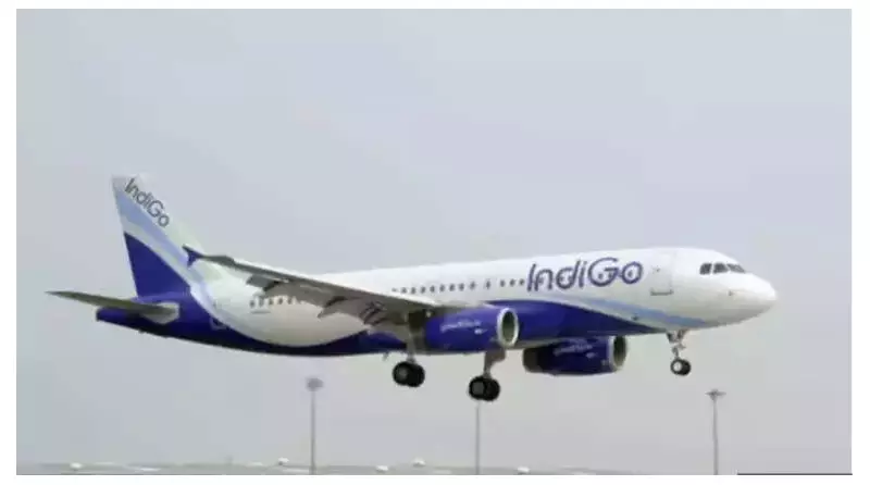 IndiGo Grilled by Parliamentary Panel Over Mass Flight Cancellations