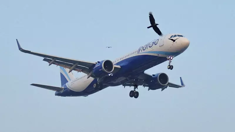 IndiGo Loses 2% Market Share in Nov 2025; Air India, SpiceJet Gain