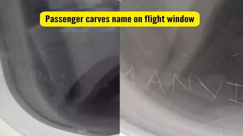 IndiGo Passenger Carves Name on Flight Window, Internet Calls It 'Idiotic'