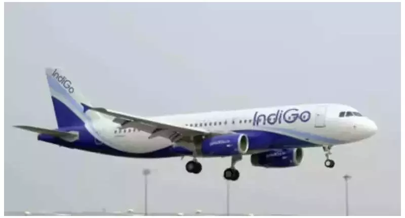 IndiGo Surpasses Air India in International Passengers After Ahmedabad Crash