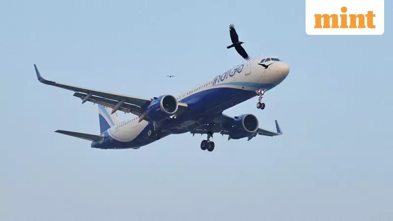 IndiGo Warns of Sunday Flight Delays as Dense Fog Hits North India