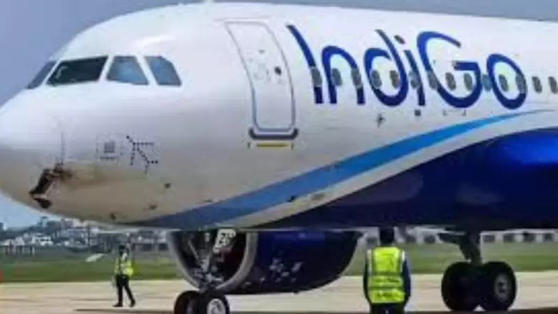IndiGo's On-Time Performance Crashes to 19.7%, Hundreds of Flights Disrupted