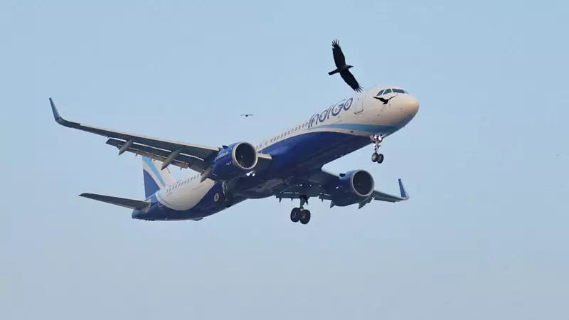 IndiGo's Record Traffic Before Meltdown: India's Aviation Paradox