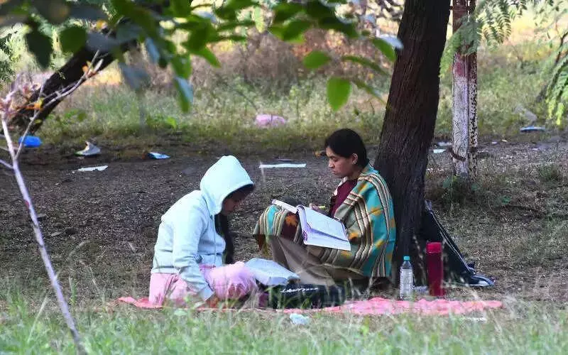 Indore Shivers at 8.4°C, Cold Spell Tightens Grip on Madhya Pradesh