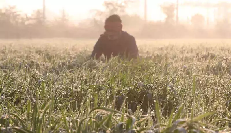 Indore Temperature Swings: 8°C Min, 26°C Max, Colder Days Ahead