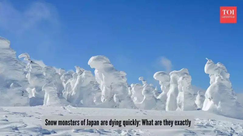 Japan's Iconic Snow Monsters Shrink: Climate Change & Pests Threaten Mount Zao's Juhyo