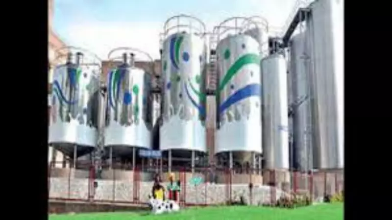 JSPL & Amul Eye Oman Investments, Job Boost for Indians in Gulf