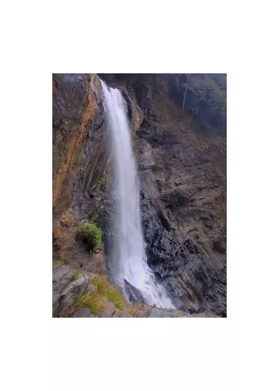 Karnataka Bans Entry to Vajrapoha Falls After Wildlife Disturbances