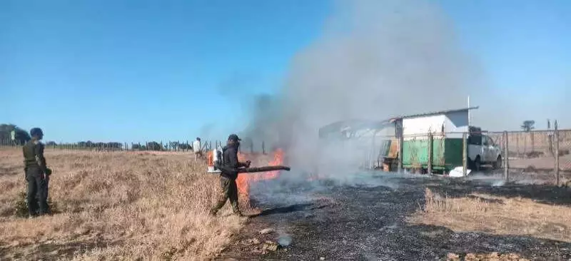 Kas Plateau Fire-Line Scrapping Underway to Protect Maharashtra's Valley of Flowers