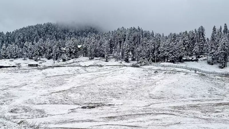 Kashmir Welcomes Chillai-Kalan with Fresh Snowfall, Rain Ends Dry Spell
